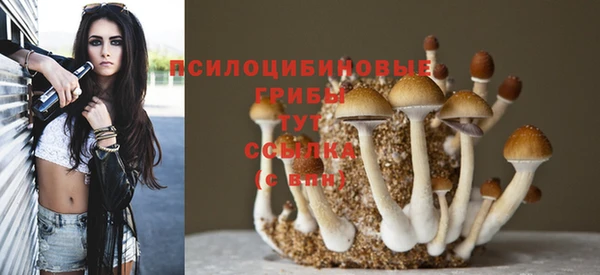 скорость Гусь-Хрустальный