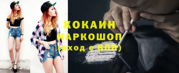 PSILOCYBIN Горняк