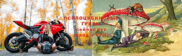 ALPHA-PVP Горнозаводск