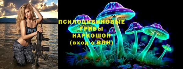 PSILOCYBIN Горняк
