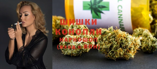 PSILOCYBIN Горняк