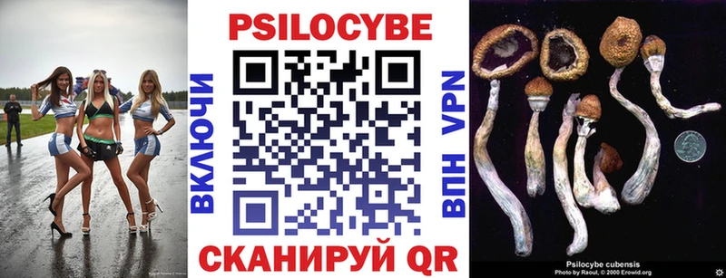 Псилоцибиновые грибы мицелий  сколько стоит  Дзержинск 